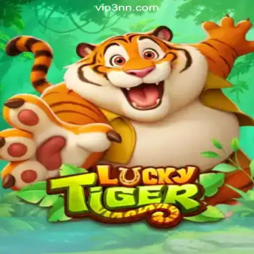 Exploring LuckyTiger on the 3NN.COM Platform - Official Slots Brasil #1